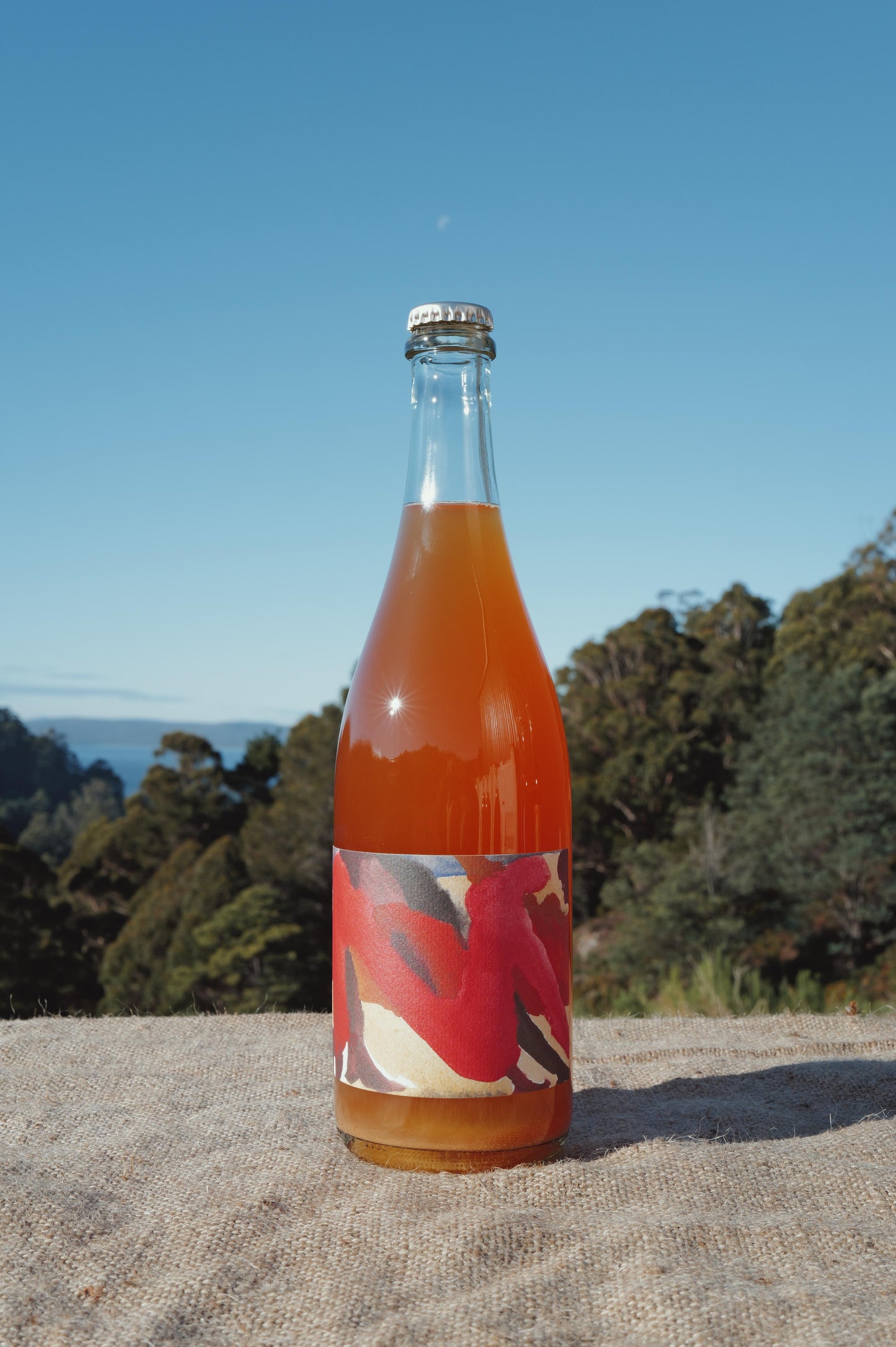 2024 Cider of the Arve #1 (3 pack)