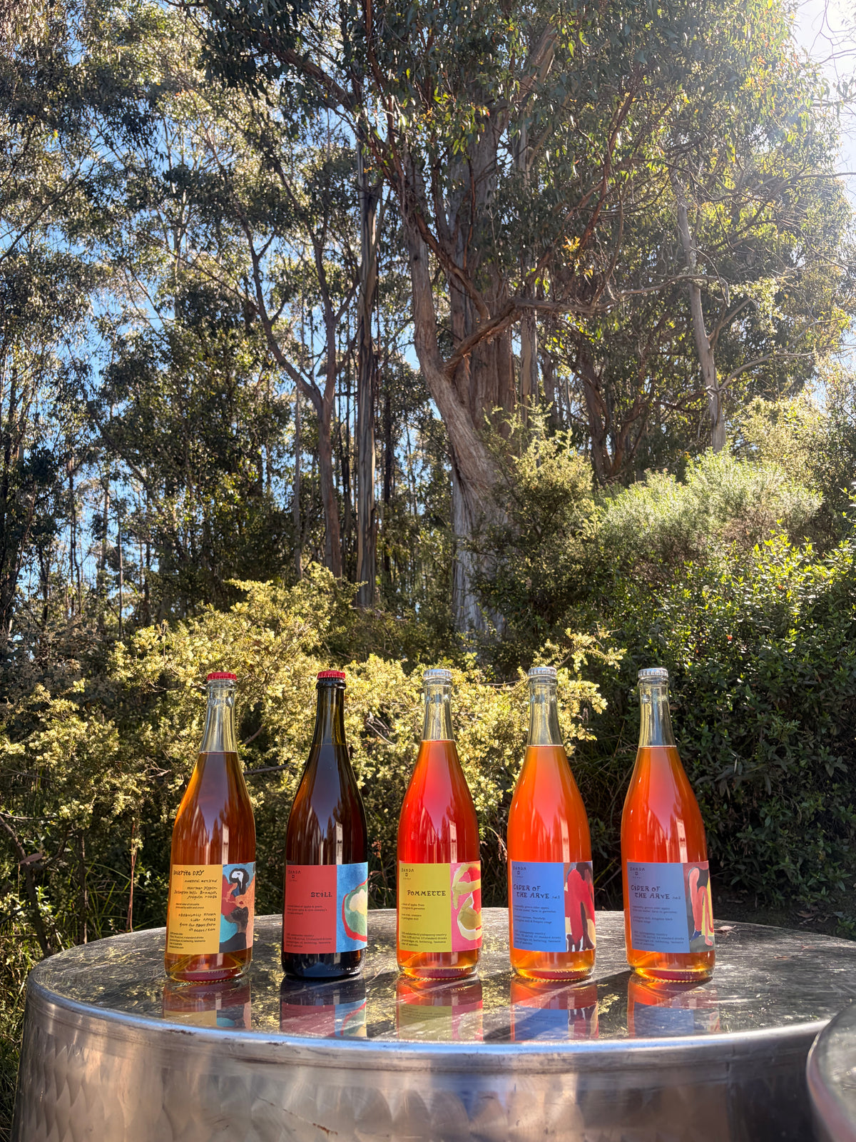 2025 Banda Cider 6 pack
